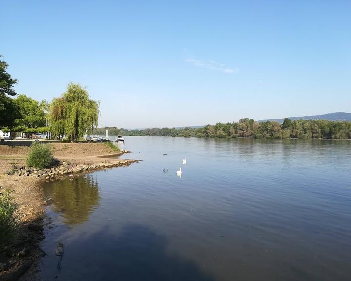 Inselrhein Heidenfahrt